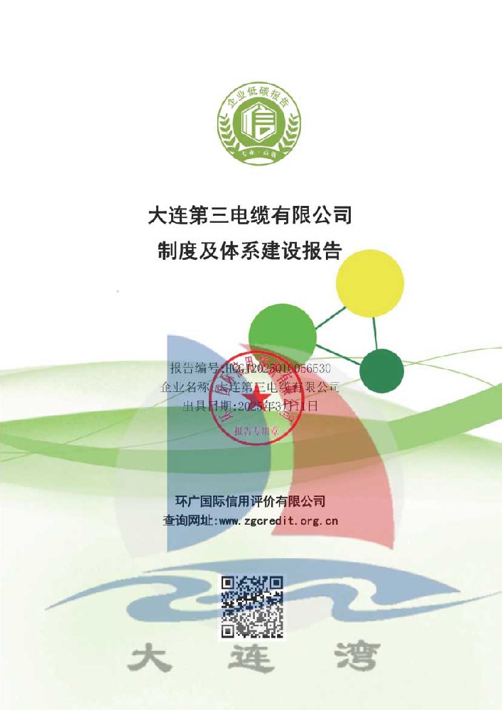 製度及（jí）體係建設報告